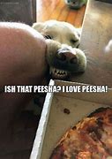 Image result for Peesha Dog Meme