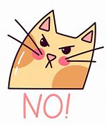 Image result for Angry Cat Meme Transparent