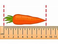 Image result for How Long Is 41 Cm