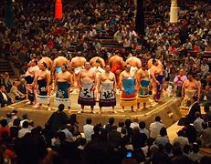 Image result for Sumo Wrestling