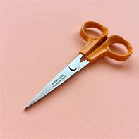 Image result for Fiskars Small Scissors