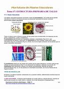 Image result for c�mbium