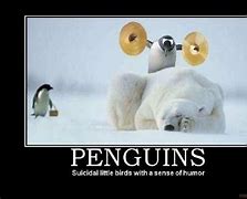 Image result for Penguin and Polar Bear Meme