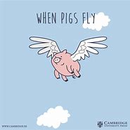 Image result for Flying Pig Meme