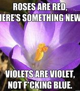 Image result for Thank You Meme Red Roses