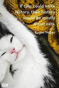 Image result for Funny Animals Quote Cat