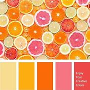 Image result for iPhone 12 Colors