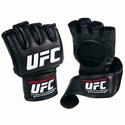 Image result for UFC MMA Fighting