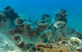 Image result for Shipwrecks Found