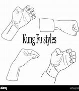 Image result for deadliest kung fu styles