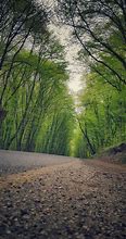 Image result for Green Windows Phone Wallpaper