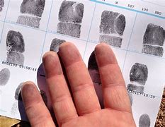 Image result for Child Fingerprint