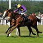Image result for Horses Racing at Ascot