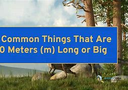Image result for How Large Is 40 Meters