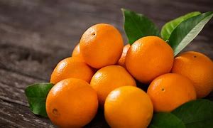 Image result for Orange