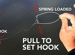 Image result for Spring Loaded Hook Set Fishing