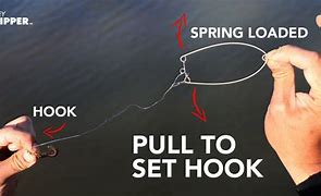 Image result for Fishing Spring Hook