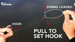 Image result for Spring Loaded Fishing Hook