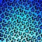 Image result for Neon Blue Cheetah Print