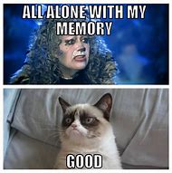 Image result for Cat Lady Meme