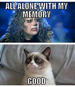 Image result for Raving Cat Meme