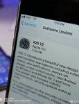 Image result for iPhone SE2