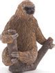 Image result for Real Life Sloth NYC