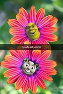 Image result for Flower Meme Face