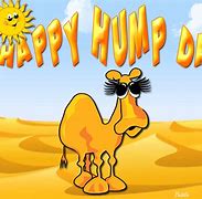 Image result for Hump Day Camel Images