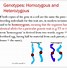 Image result for Homozygous Recessive Individual