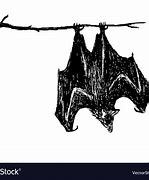 Image result for Upside Down Bat Graphic