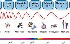 Image result for Microwaves Physics