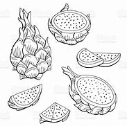 Image result for Dragon Fruit Coloring Page