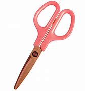 Image result for Curved Blade Scissors