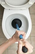 Image result for Toilet Clog