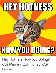 Image result for Hey How You Doing Meme