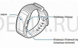 Image result for Samsung Gear Fit 2 Location