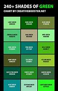 Image result for 14 Plus Colors