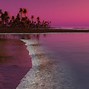 Image result for Pretty Pink Beach Sunset