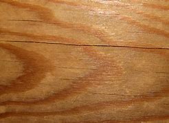 Image result for Grain Stain Texture