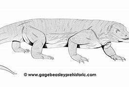 Image result for Megalania Lizard