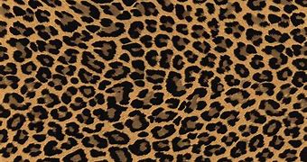 Image result for Cheetah Print Background High Resolution