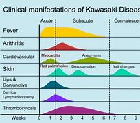 Image result for Kawasaki Stabbings