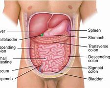 Image result for absominal