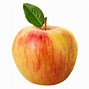 Image result for 20 Pounds of Apple's