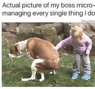 Image result for Mean Boss Funny Memes