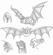 Image result for Realistic Cartoon Bat
