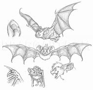 Image result for Black Bat Drawing