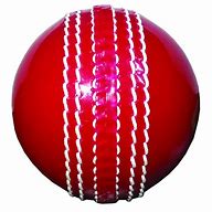 Image result for Cricket for Kids