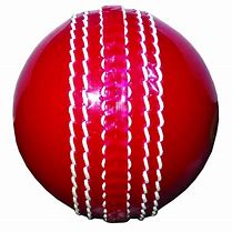 Image result for Cricket Items